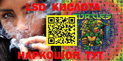 стаф Шелехов