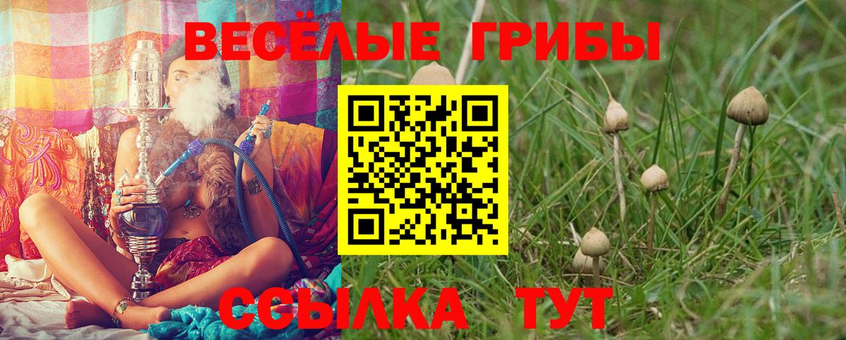Галлюциногенные грибы GOLDEN TEACHER Альметьевск
