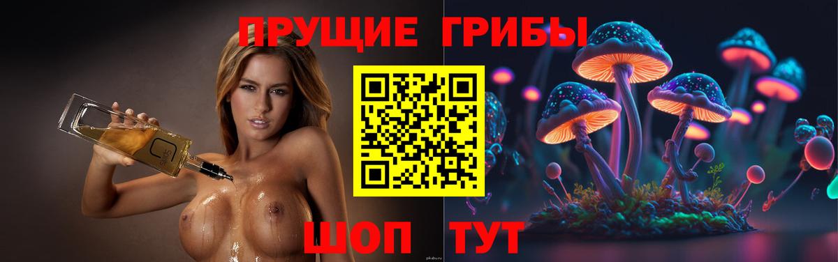 Галлюциногенные грибы Psilocybine cubensis  Вход с VPN  Альметьевск  Галлюциногенные грибы Magic Shrooms 